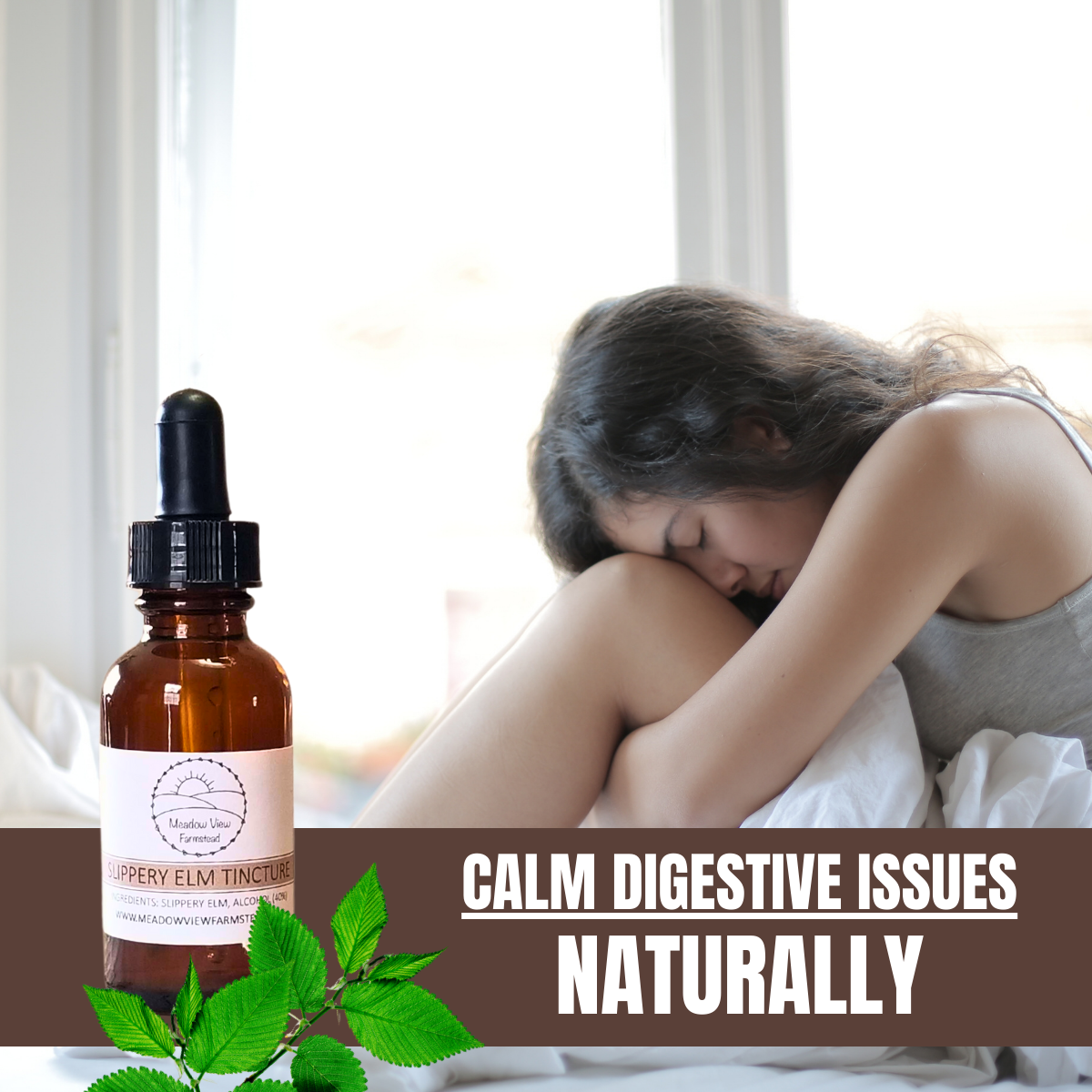 Slippery Elm Tincture