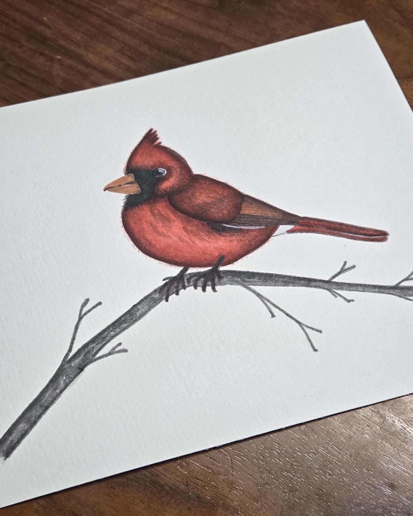 Cardinal - Watercolor Painting Art Print