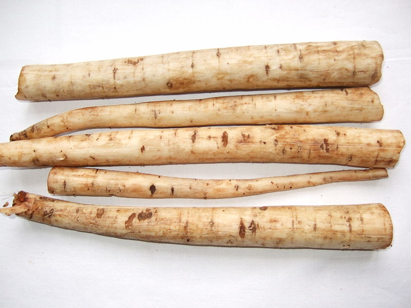 Horseradish Benefits and Uses