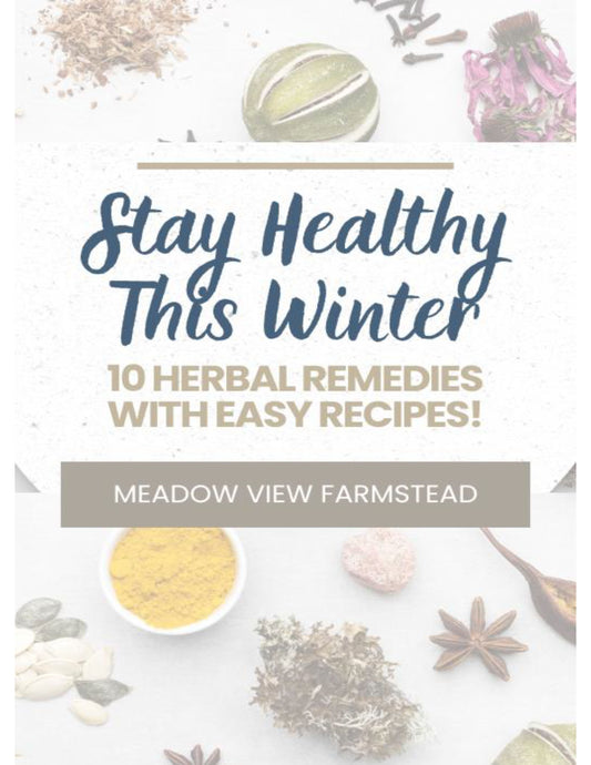 Stay Healthy This Winter: 10 Herbal Remedies with Easy Recipes