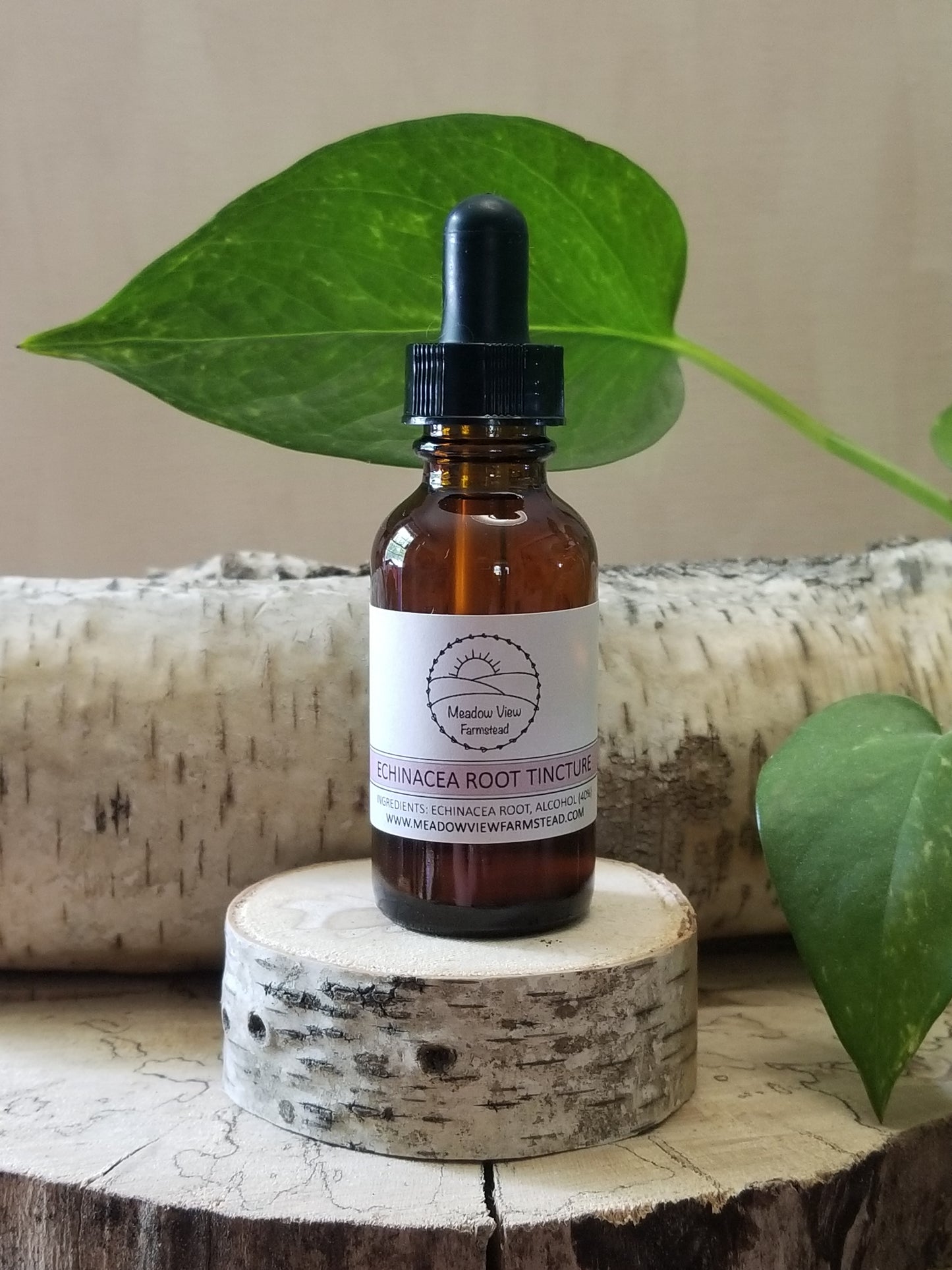 Echinacea Root Tincture | Immune Support