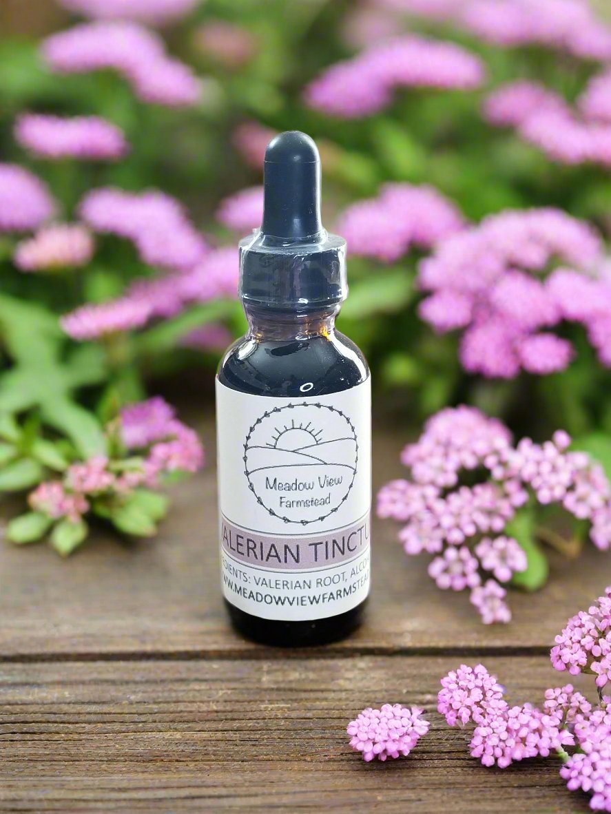 Valerian Tincture | Meadow View Farmstead