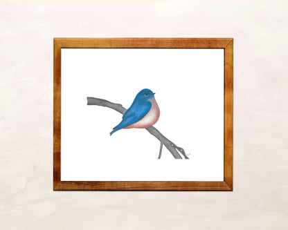 Blue Bird Art Print from Original Watercolor Painting