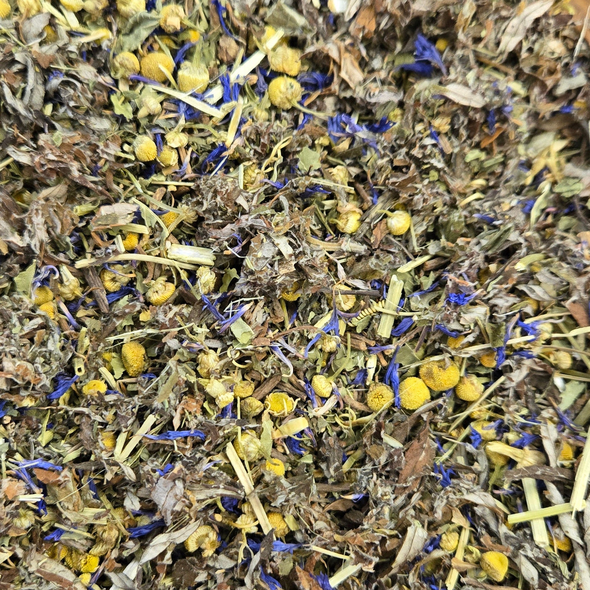 Dreamwalker Tea