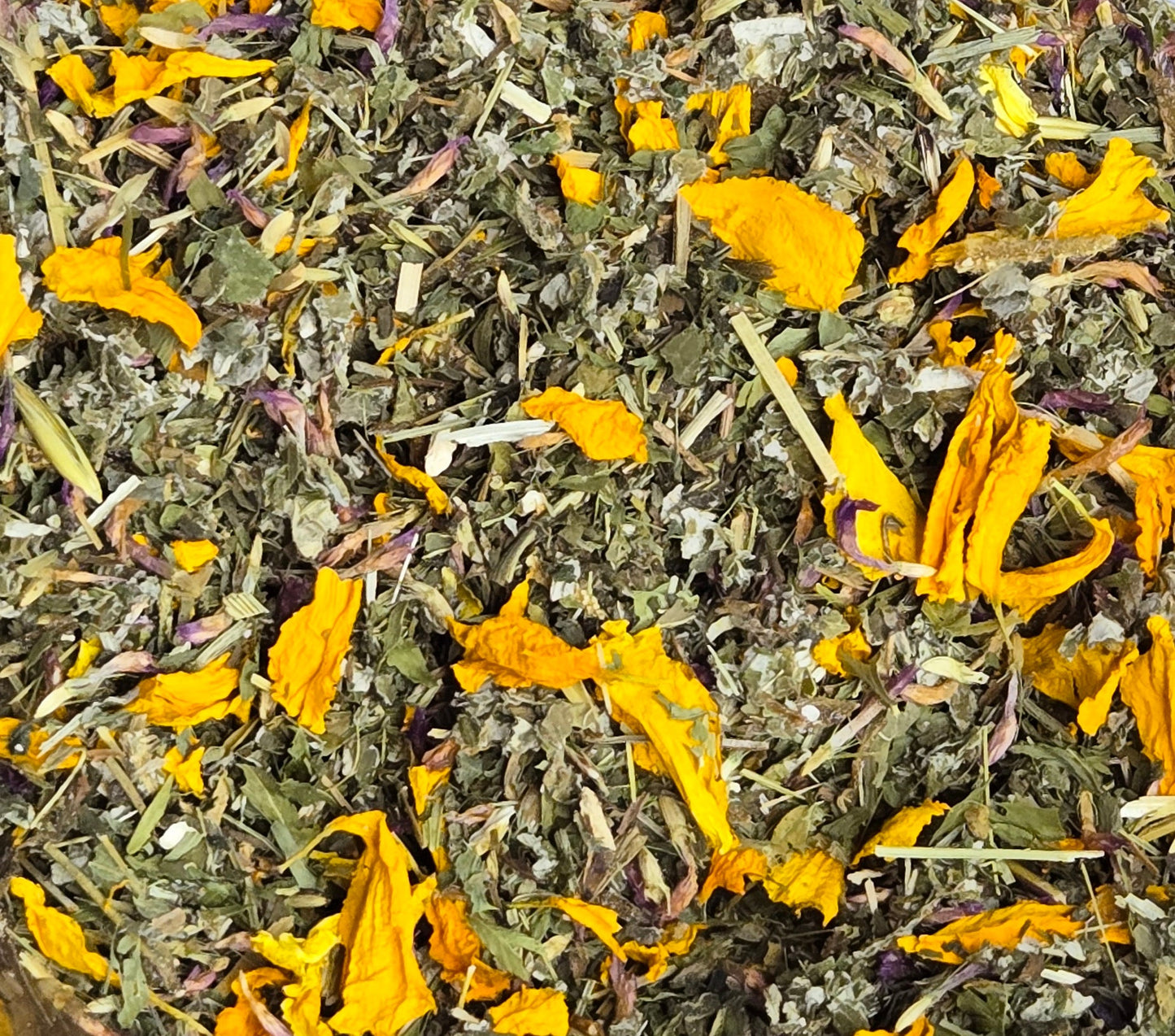 Everyday Balance Tea