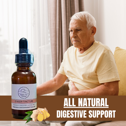 Ginger Tincture | Digestive Support