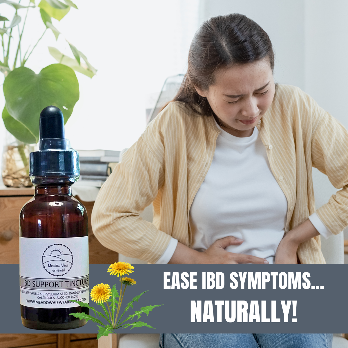 IBD Support Tincture | Digestive System Support