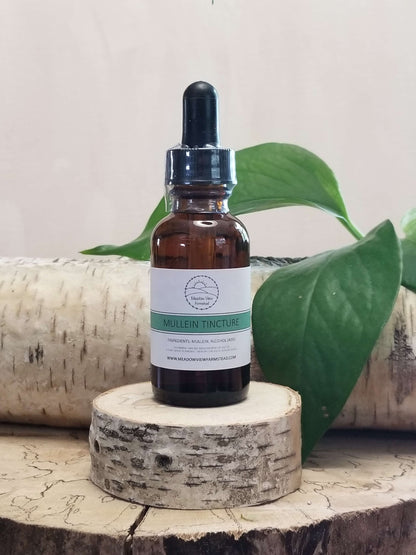 Mullein Tincture | Respiratory Support