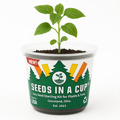 Jasmine | Plant Seed Starter Grow Kit | Seeds In A Cup®