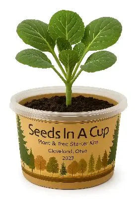 Seeds In A Cup® Original Herb Kit