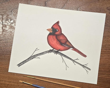 Cardinal - Watercolor Painting Art Print