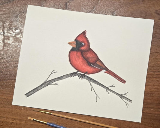 Cardinal - Watercolor Painting Art Print