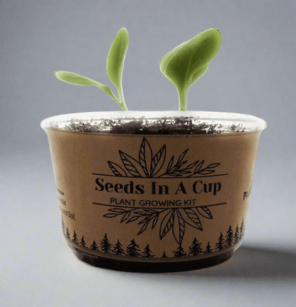 Seeds In A Cup® Original Herb Kit