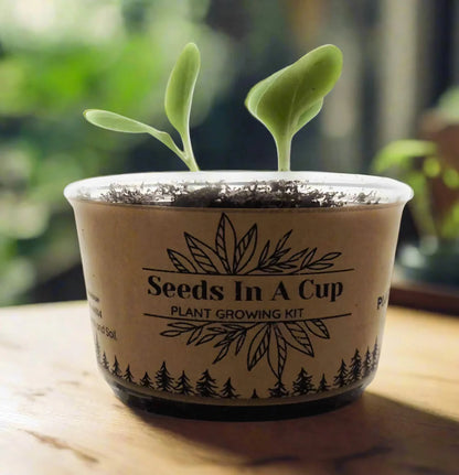 Chives | Plant Seed Grow Kit | Seeds In A Cup®