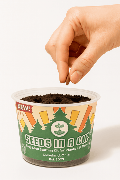 Caraway | Plant Seed Starter Grow Kit | Seeds In A Cup®