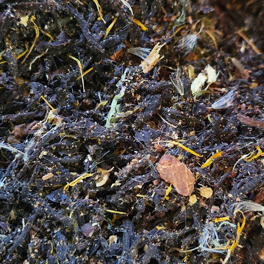 Vermont Maple Chai Tea