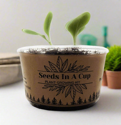 Seeds In A Cup® Original Herb Kit