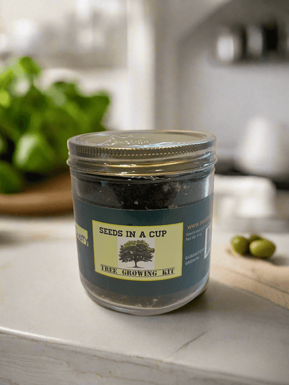 Seeds In A Cup® Original Herb Kit