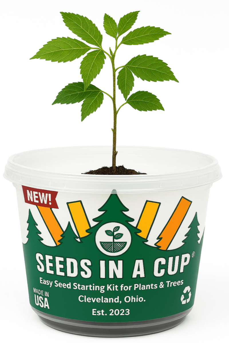 Lavender | Plant Seed Starter Grow Kit | Seeds In A Cup®