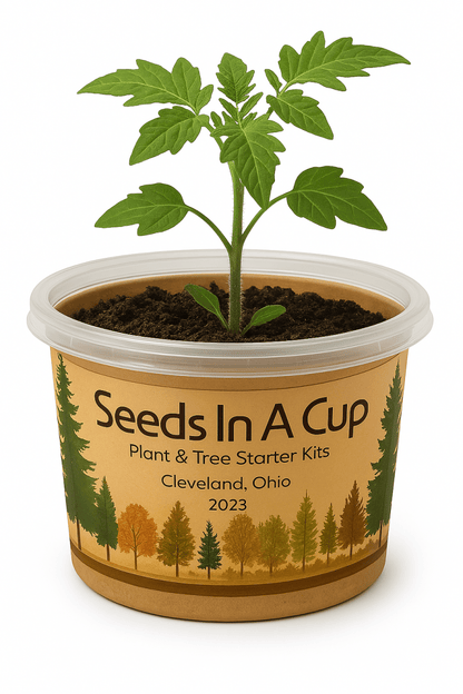Mustard | Plant Seed Starter Grow Kit | Seeds In A Cup®