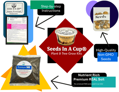 Thyme | Plant Seed Starter Grow Kit | Seeds In A Cup®