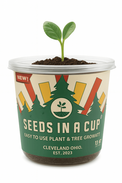 Seeds In A Cup® Original Herb Kit